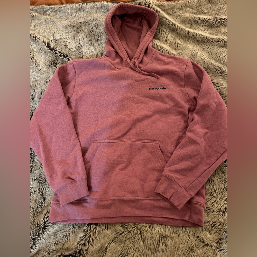 Patagonia Hoodie